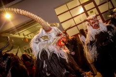 Photo by Sascha Fiala