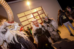 Photo by Sascha Fiala