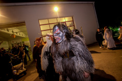 Photo by Sascha Fiala