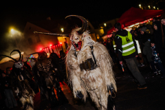 Enzerdorf-an-der-Fischa-09