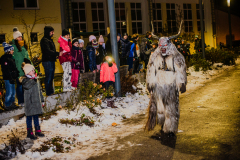 Enzerdorf-an-der-Fischa-15