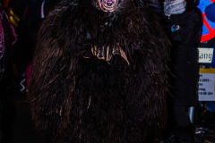 Enzerdorf-an-der-Fischa-20