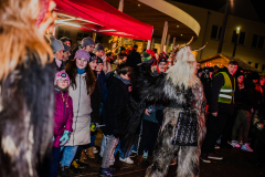 Enzerdorf-an-der-Fischa-23