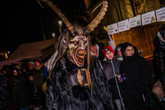 Enzerdorf-an-der-Fischa-24