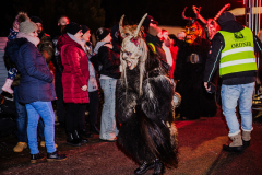 Enzerdorf-an-der-Fischa-30