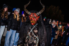 Enzerdorf-an-der-Fischa-31