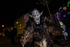 Enzerdorf-an-der-Fischa-32