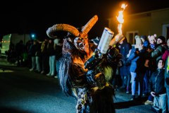 Enzerdorf-an-der-Fischa-43