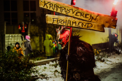 Enzerdorf-an-der-Fischa-54