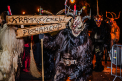 Enzerdorf-an-der-Fischa-55