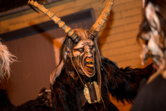 Photo by Sascha Fiala