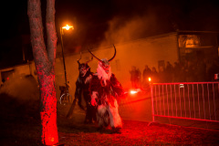 Photo by Sascha Fiala