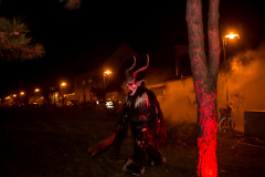 Photo by Sascha Fiala