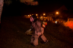 Photo by Sascha Fiala