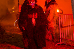 Photo by Sascha Fiala