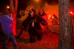 Photo by Sascha Fiala