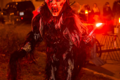 Photo by Sascha Fiala