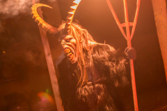 Photo by Sascha Fiala