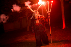 Photo by Sascha Fiala