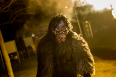 Photo by Sascha Fiala