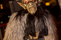 Photo by Sascha Fiala