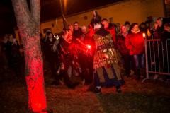 Photo by Sascha Fiala