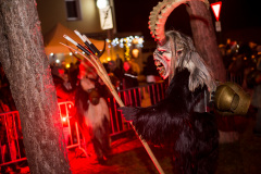 Photo by Sascha Fiala