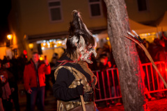 Photo by Sascha Fiala