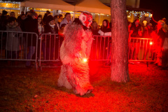 Photo by Sascha Fiala