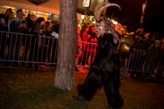 Photo by Sascha Fiala