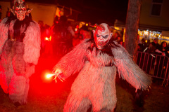 Photo by Sascha Fiala