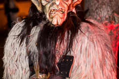 Photo by Sascha Fiala