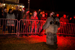 Photo by Sascha Fiala