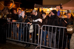 Photo by Sascha Fiala