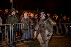 Photo by Sascha Fiala