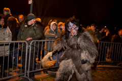 Photo by Sascha Fiala