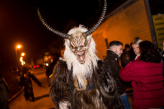 Photo by Sascha Fiala