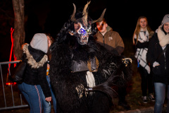 Photo by Sascha Fiala