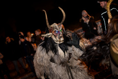 Photo by Sascha Fiala