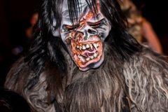 Photo by Sascha Fiala