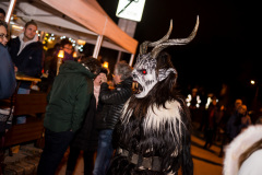 Photo by Sascha Fiala