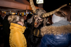 Photo by Sascha Fiala