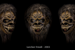 Lercher-Friedl-2003